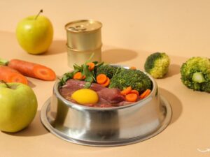 Portland Pet Food Company: Revolutionizing Pet Nutrition