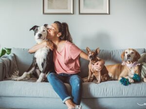 Noblesville Pet Wellness Clinic: Your Pet’s Health Matters