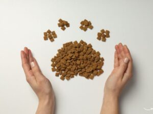 Dave’s Pet Food: A Comprehensive Guide to Quality Pet Nutrition