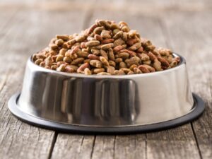 The Ultimate Guide to Pet Food Mats: Keeping Your Home Clean and Your Pet Happy