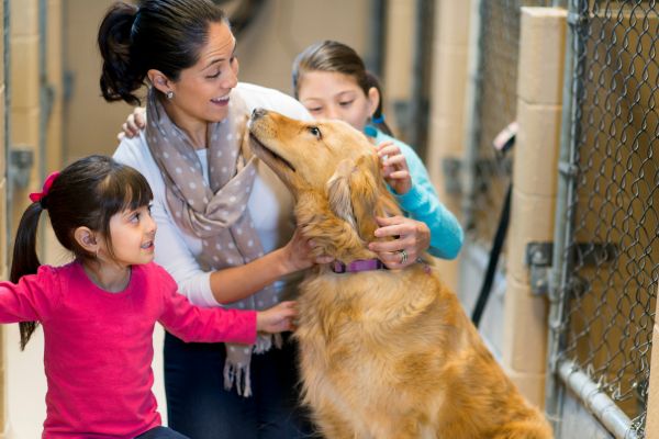 ethical pet adoption tips