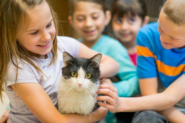 finding a pet foster program