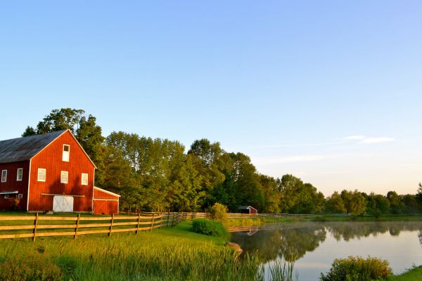 automatic watering systems for barns