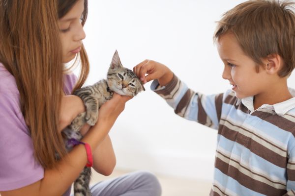 Animal crafts for preschoolers
