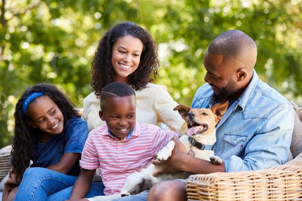 Animal rescue stories for kids